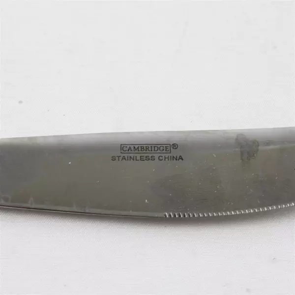 4 Cambridge AURORA Stainless Steel Dinner Knives 9 1/4" Center Ridge 