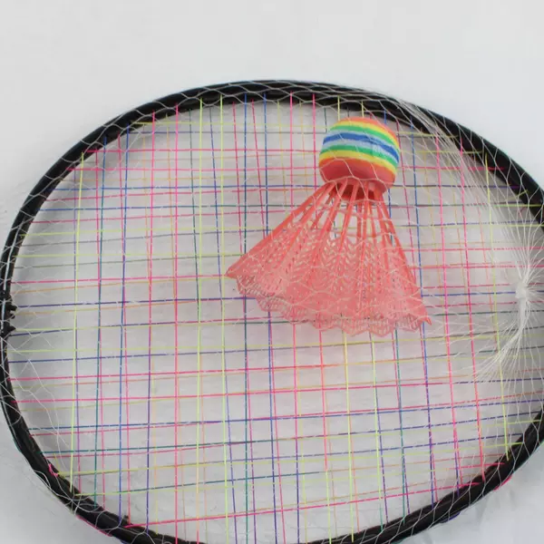 Greenbrier Badminton Set with 2 Rackets and 1 Birdie Outdoor Game Kit