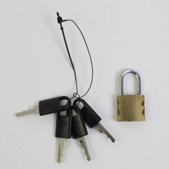 Ricardo Beverly Hills Luggage Locks Set with 1 Lock and 4 Black Keys Used