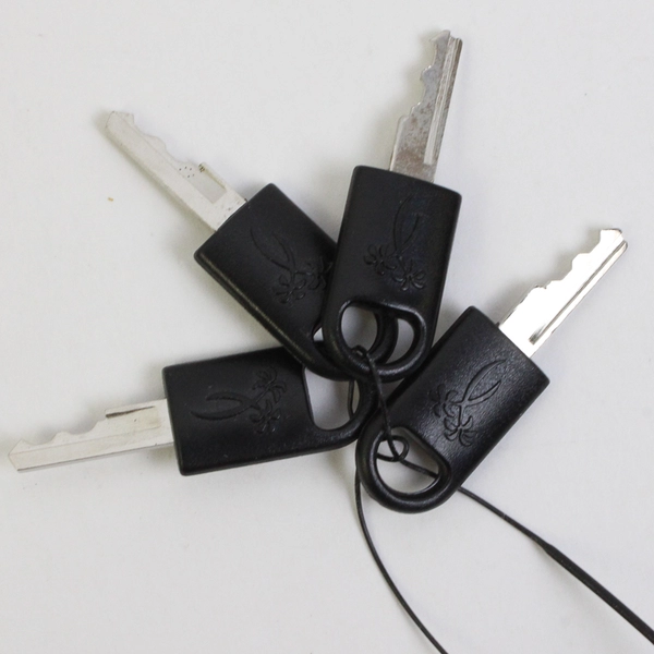 Ricardo Beverly Hills Luggage Locks Set with 1 Lock and 4 Black Keys Used