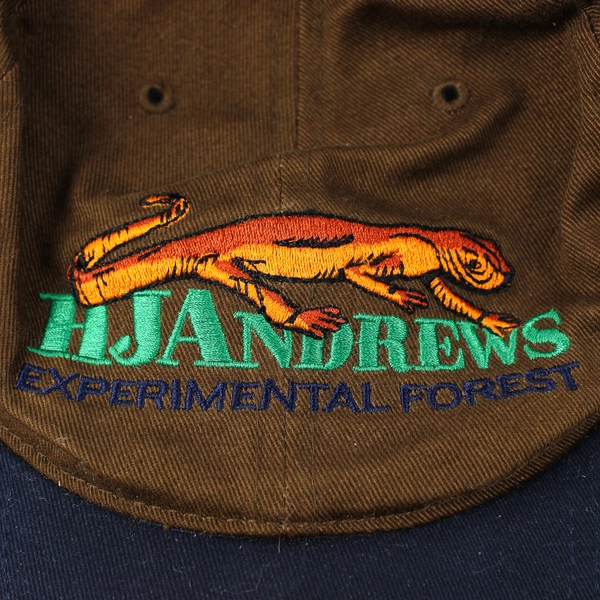 Richardson HJ Andrews Experimental Forest Baseball Cap One Size