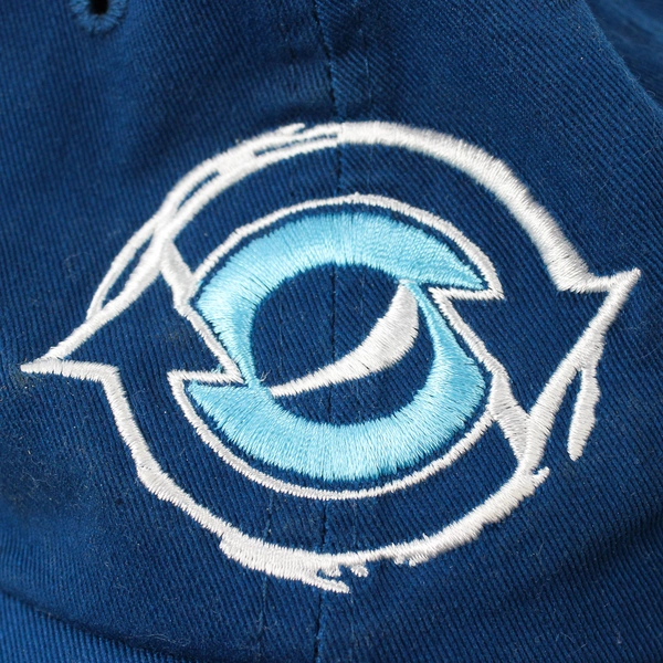 Pepsi Refresh Project 2010 Blue Adult's Baseball Cap One Size