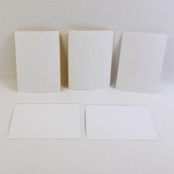 Lot of 5 Note Cards Bird and Floral Themes with Envelopes