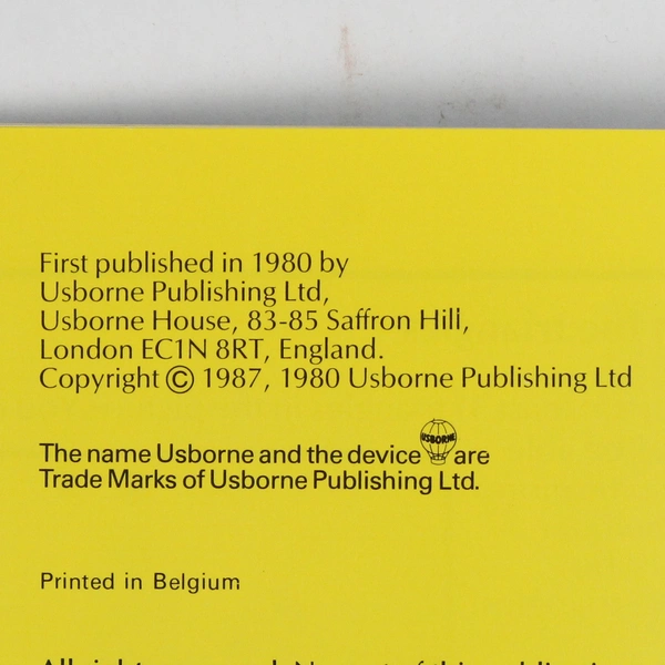 Picture Puzzles by Jenny Tyler Illustrated by Graham Round 1987 Paperback 