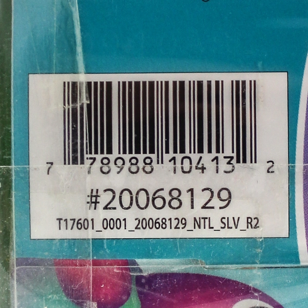 Digibirds Living the Tweet Life Toy Animated Sings Over 20 Songs