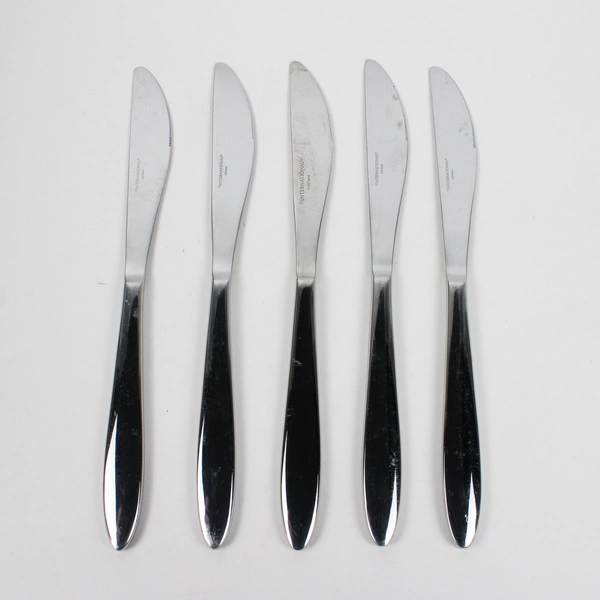 Lot Of 5 International Silver Simplicity (Stainless) Flatware Dinner Knives 9"