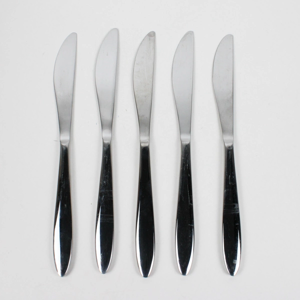 Lot Of 5 International Silver Simplicity (Stainless) Flatware Dinner Knives 9"