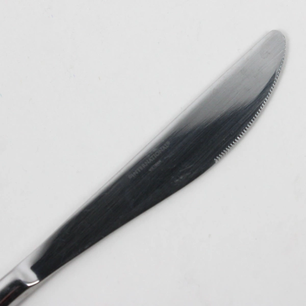 Lot Of 5 International Silver Simplicity (Stainless) Flatware Dinner Knives 9"