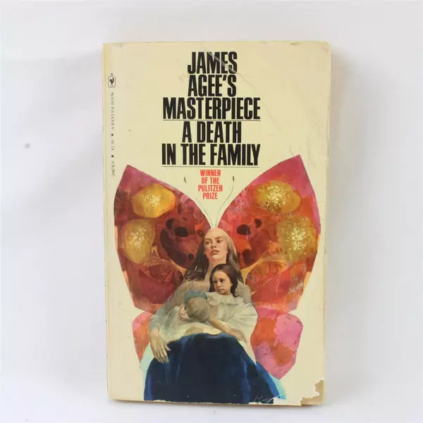A Death in the Family by James Agee Paperback Classic Novel