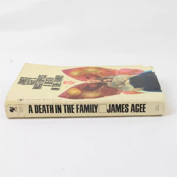 A Death in the Family by James Agee Paperback Classic Novel