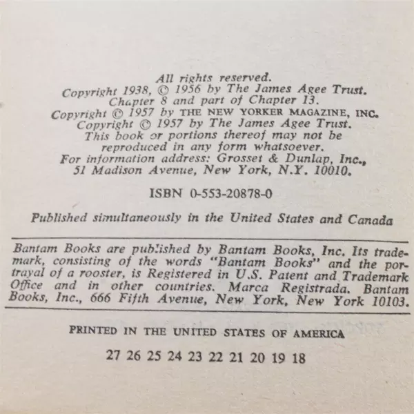 A Death in the Family by James Agee Paperback Classic Novel