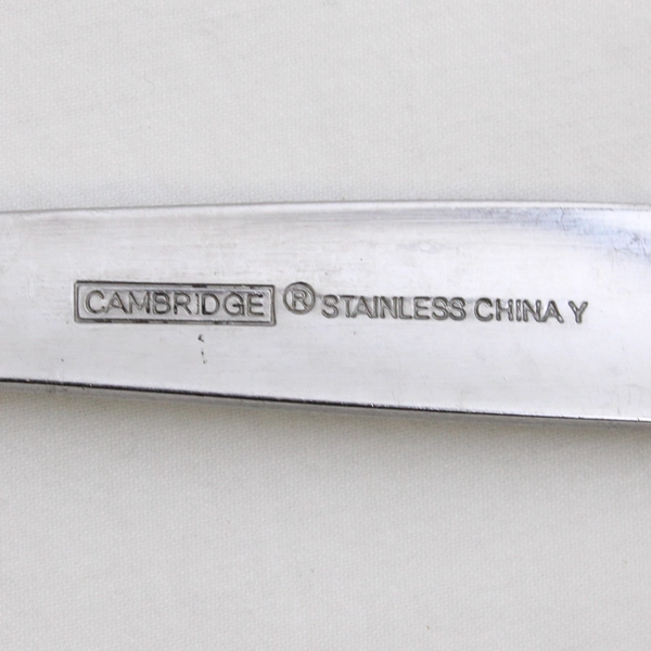 Lot Of 5 Cambridge Silver Asher-Sand (Stainless) Flatware 4 Dinner Forks 1 Spoon