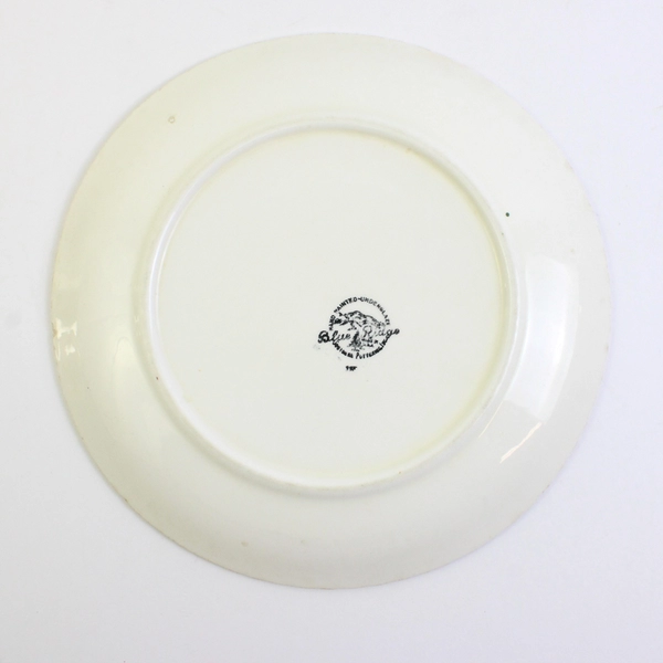 VTG Blue Ridge Southern Potteries Hand-Painted Floral Dinner Plate 9.25" FLAW