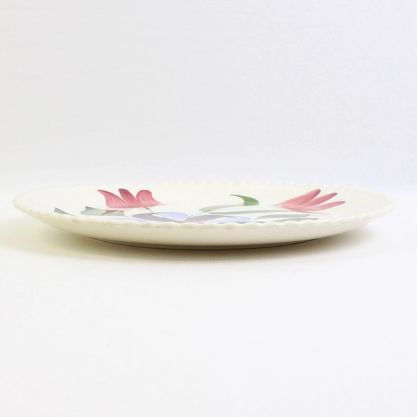 VTG Blue Ridge Southern Potteries Hand-Painted Floral Dinner Plate 9.25" FLAW