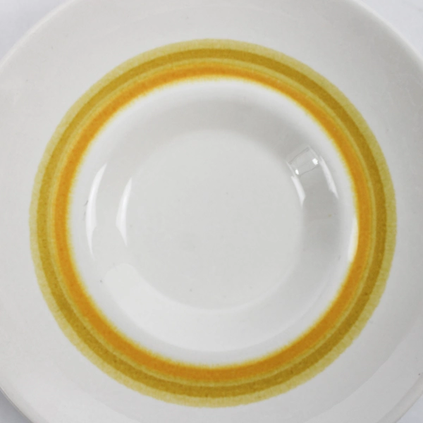 Set of 2 Franciscan Sundance Replacement Ceramic Saucers