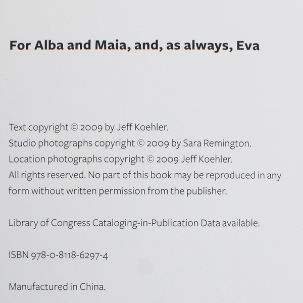 Rice Pasta Couscous by Jeff Koehler Mediterranean Kitchen 2009 Hardcover