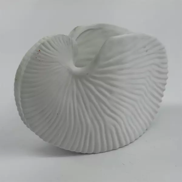 PartyLite Nautilus Shell Tea Light Candle Holder P9610