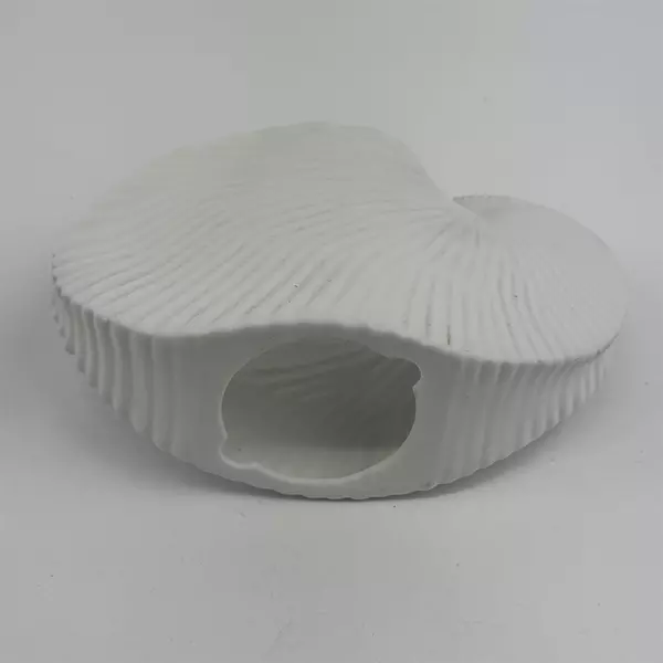 PartyLite Nautilus Shell Tea Light Candle Holder P9610