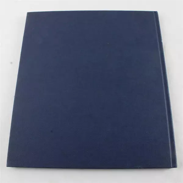 Mosaics by P.B. Hetherington Hardcover with Color Illustrations