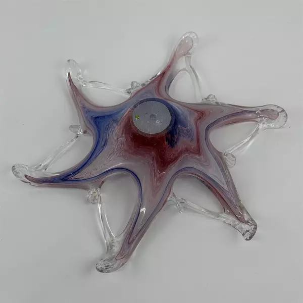 Hand Blown Art Glass Bowl Starfish Bowl