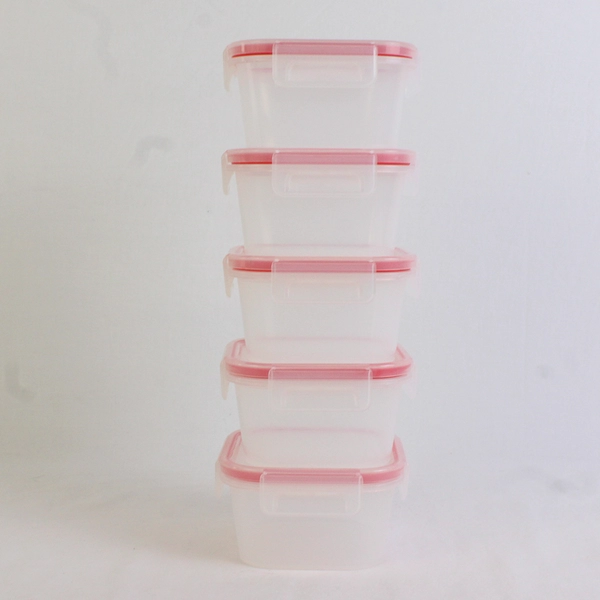 Lot of 5 Snapware 1.25 Cups Plastic Food Storage Containers