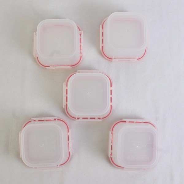 Lot of 5 Snapware 1.25 Cups Plastic Food Storage Containers