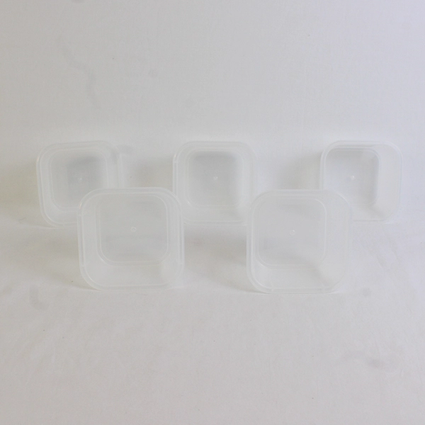 Lot of 5 Snapware 1.25 Cups Plastic Food Storage Containers