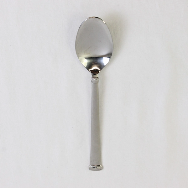 Retroneu Xena Frost Pattern 18/10 Stainless Steel Large Serving Spoon 8.75 Inch