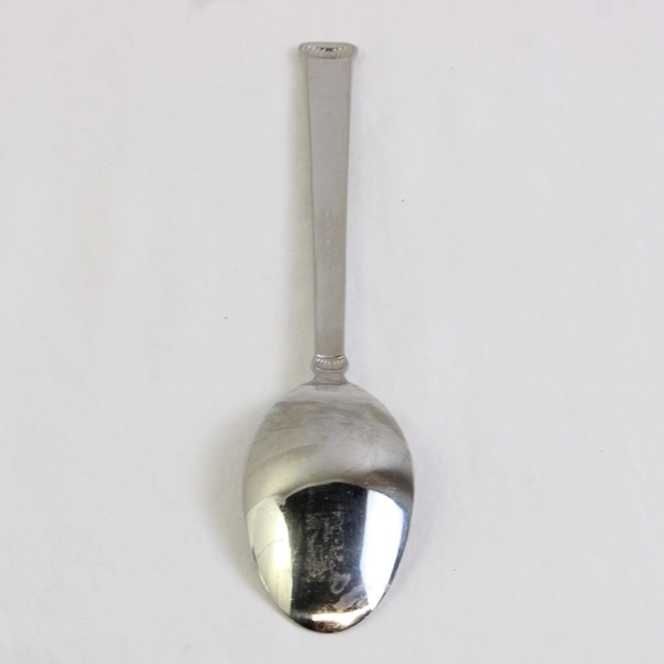 Retroneu Xena Frost Pattern 18/10 Stainless Steel Large Serving Spoon 8.75 Inch