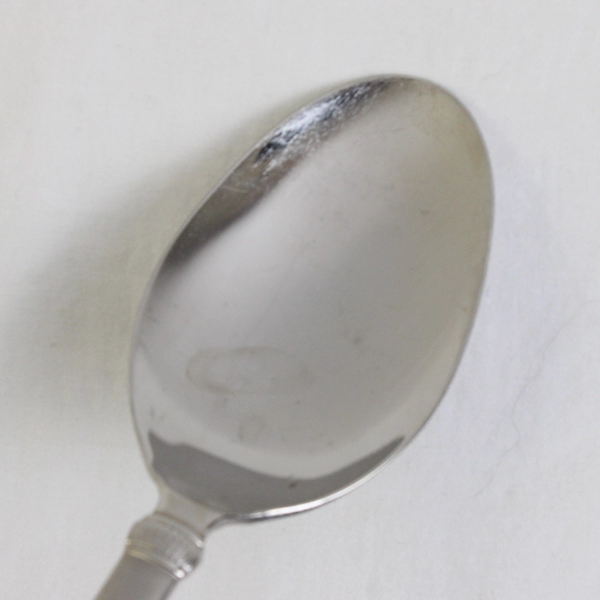 Retroneu Xena Frost Pattern 18/10 Stainless Steel Large Serving Spoon 8.75 Inch