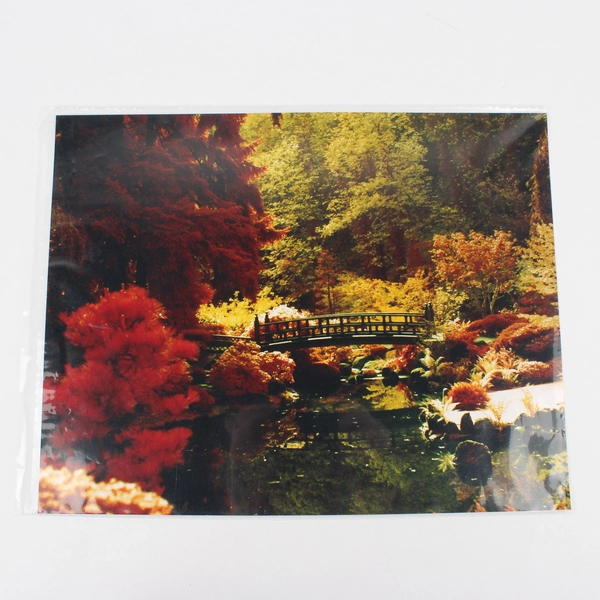 Vintage Portland Japanese Garden Moon Bridge Photo 1980s