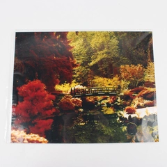 Vintage Portland Japanese Garden Moon Bridge Photo 1980s