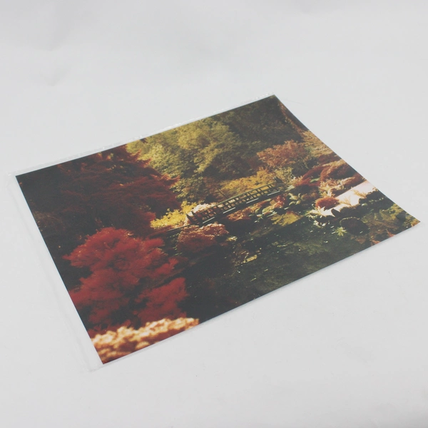 Vintage Portland Japanese Garden Moon Bridge Photo 1980s