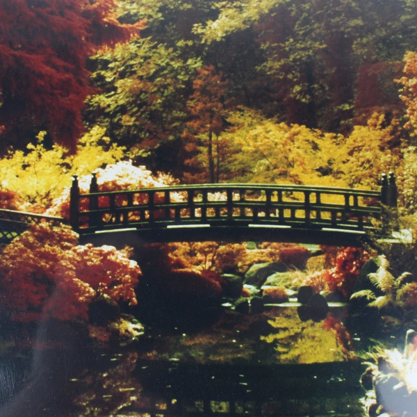 Vintage Portland Japanese Garden Moon Bridge Photo 1980s