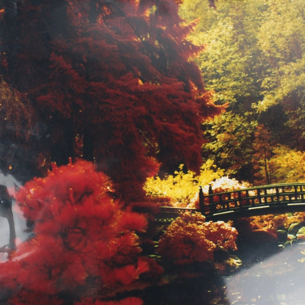 Vintage Portland Japanese Garden Moon Bridge Photo 1980s