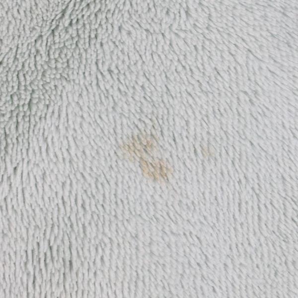 Lot Of 2 Matching Berkshire Muted Green Fuzzy Fleece Pillow Cases 20.5" x 30"