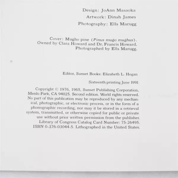 Sunset Book Bonsai Mid Century Illustrated Guide to Ancient Art 1976 PB