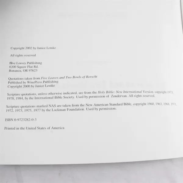 Finding Strength for the Journey Bible Study Guide by Janice Lemke PB 2002