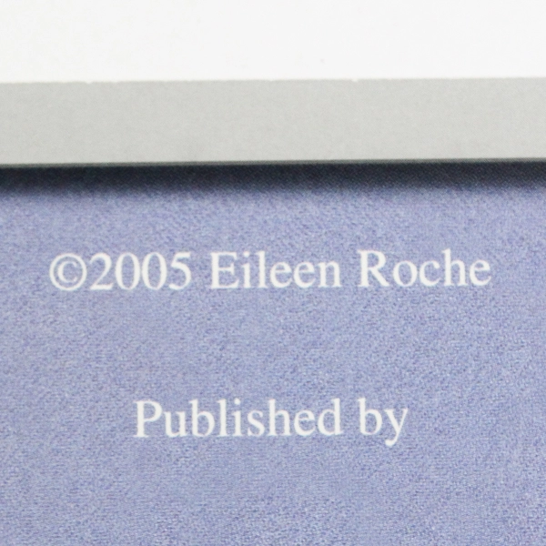 In The Hoop Machine Embroidery Tool Kit By Eileen Roche 2005