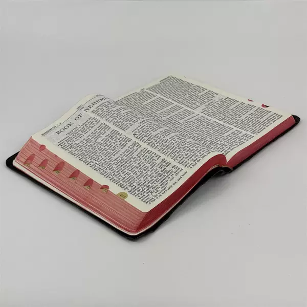 Vintage The Holy Bible by World Publishing Self-Pronouncing KJV Black King James