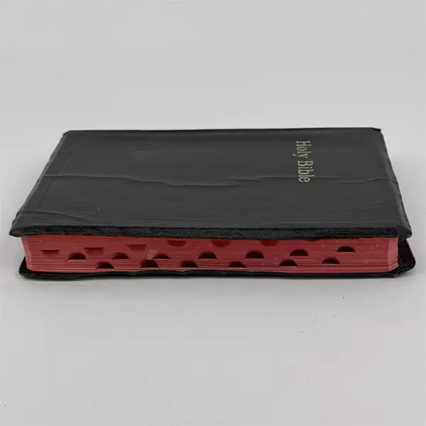 Vintage The Holy Bible by World Publishing Self-Pronouncing KJV Black King James