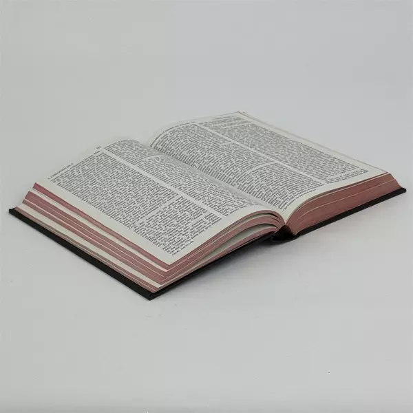 The Bible Revised Standard Old & New Testament American Bible Society 1971