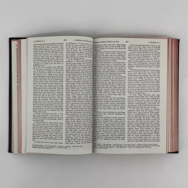 The Bible Revised Standard Old & New Testament American Bible Society 1971