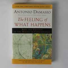 The Feeling Of What Happens Antonio Damasio Focusing on Body & Emotion 1999 PB