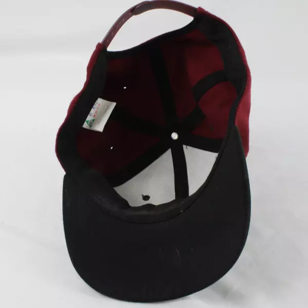 Native Pride Embroidered Baseball Cap Adjustable Hat Tribal Design