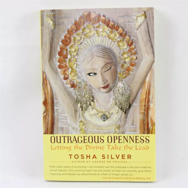 Outrageous Openness: Letting the Divine Take the Lead by Tosha Silver PB 2014