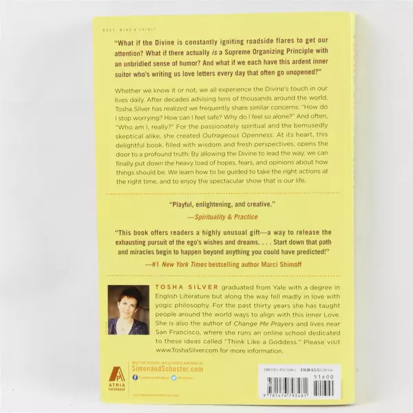 Outrageous Openness: Letting the Divine Take the Lead by Tosha Silver PB 2014