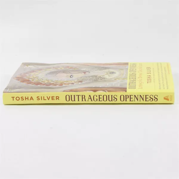 Outrageous Openness: Letting the Divine Take the Lead by Tosha Silver PB 2014