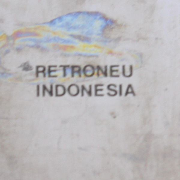 Retroneu Superieur Pattern Stainless Dinner Knife 9.5 Inches South Korea