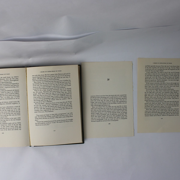 I Heard My Sister Speak My Name Vintage HC Book, Thomas Savage 1977